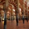 Kurtuba Camii (Mezquita) sütun ve kemerleri.