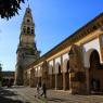 Kurtuba Camii (Mezquita).