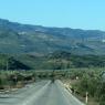 Granada Cordoba arasında gittiğimiz yollar (gidiş-geliş olan kuzeydoğu yönündeki ara yoldan gittik) kilometrelerce zeytin ağaçları ile kaplıydı.