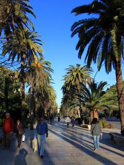 Malaga'nın sahil tarafındaki sokaklar palmiye ağaçları ile süslenmiş. Her tarafta karşınıza çıkan bahçeler ve palmiye ağaçları şehire ayrı bir güzellik veriyor.