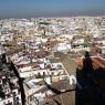 Giralda'nın tepesinden Sevilla manzaraları.