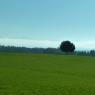 Villamartin - Olvera yolu.