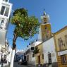 Villamartin Endülüs'ün Cadiz bölgesine bağlı nüfusu 12.497 olan bir beyaz kasaba .