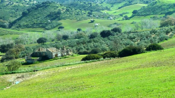 Sonraki durağımız Olvera'ydı. Villamartin - Olvera yolunda bir manzara.