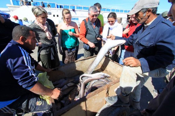 Essaouira - Balıkçı limanında mezat