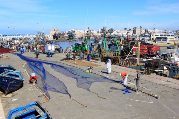 Essaouira - Balıkçı limanı