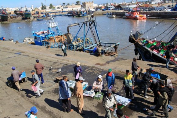 Essaouira - Balıkçı limanında satıcılar