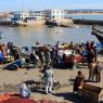 Essaouira - Balıkçı limanı