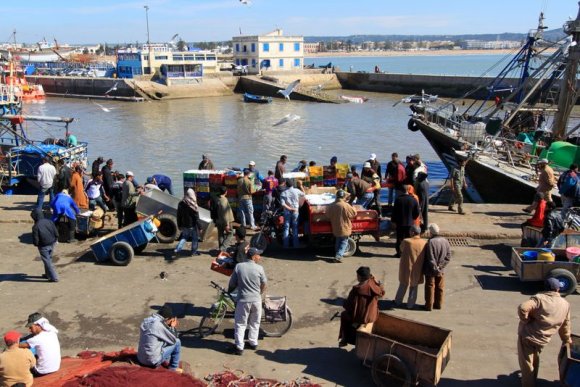 Essaouira - Balıkçı limanı