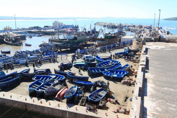 Essaouira - Balıkçıların yanaştığı liman. Burda büyük bir balık mezatı oluyor.