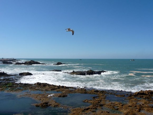 Essaouira