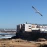 Essaouira - Okyanus ve surlar.