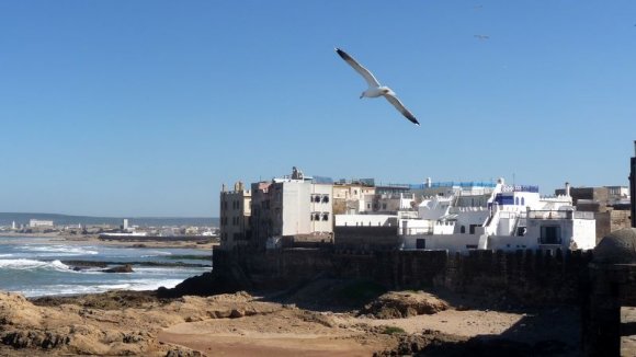 Essaouira - Okyanus ve surlar.