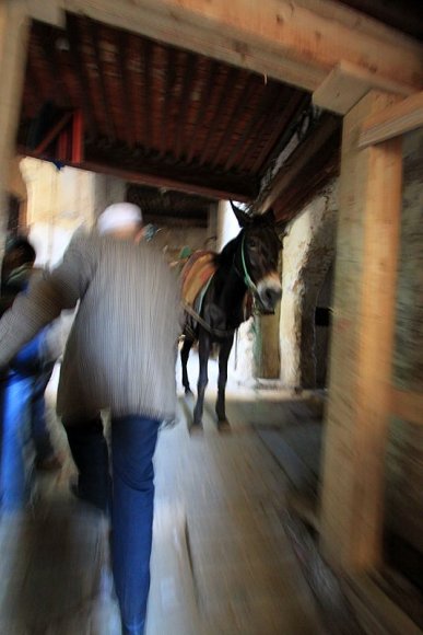 Fes'in dar sokaklarında taşımacılık büyük oranla eşeklerle yapılıyor.