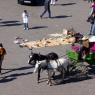 Marakeş - Djemaa el Fna