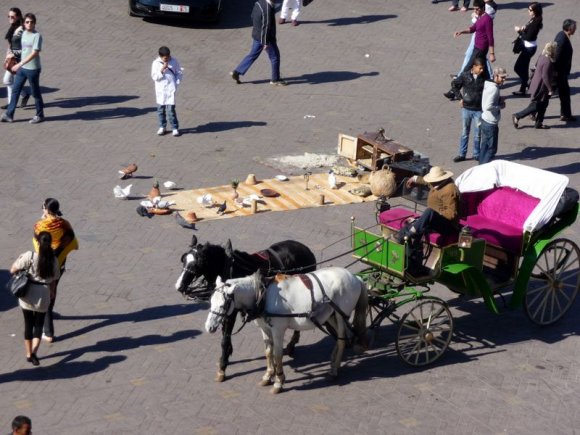 Marakeş - Djemaa el Fna