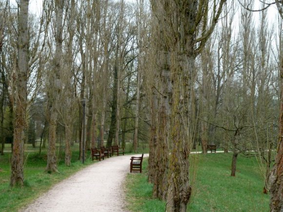 Bad Mergentheim aynı zamanda parkları ile de meşhur.