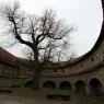 Batı Kapısı, Rothenburg ob der Tauber