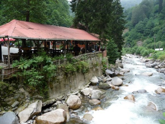 Ayder Yaylası'nın hemen aşağısındaki bir tesiste doğal kırmızı benekli alabalık yedik.