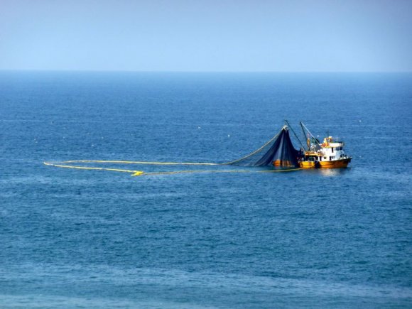 Karadeniz'de balık avı