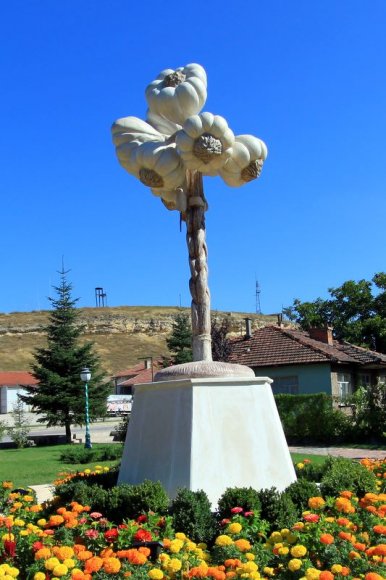 Sarımsağı ile meşhur Kastamonu Taşköprü'de sarımsak heykeli