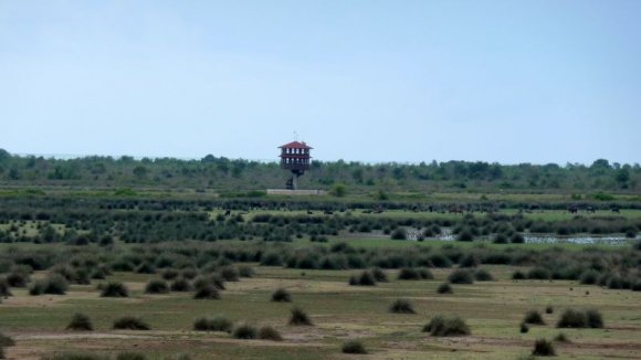 Kızılırmak Deltası Kuş Cenneti