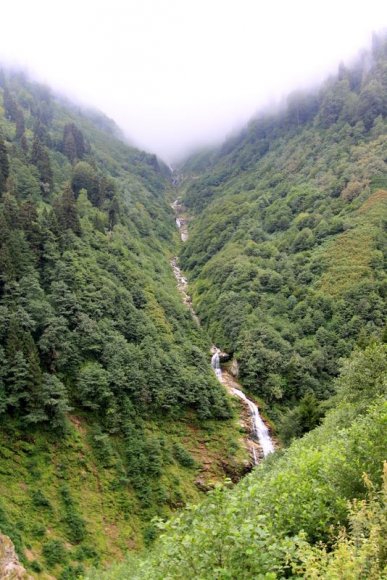 Ayder Yaylasındaki şelale