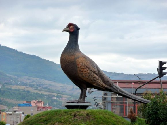 Samsun'un simgelerinden sülün heykeli