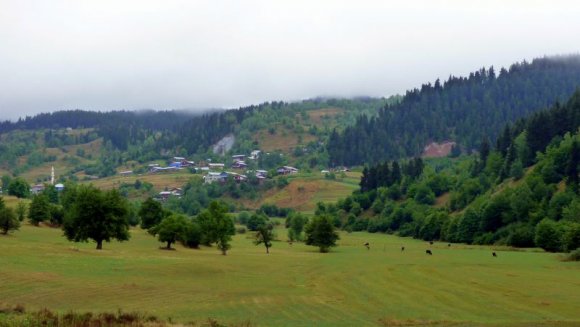 Şavşat - Karagöl Yolu