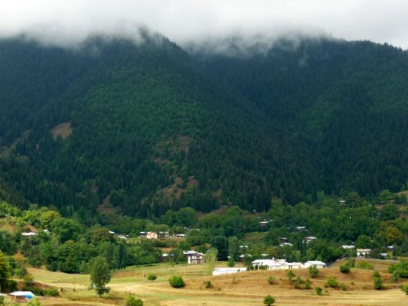 Şavşat - Karagöl yolunda yayla manzarası