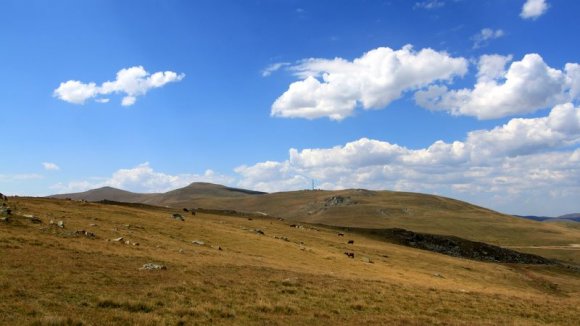 Uzungöl - Yaylalar