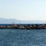 Balabanlı Koyunda balıkçı limanı. Midilli Adası ve burası arasında epey bir kılıç balığı varmış.