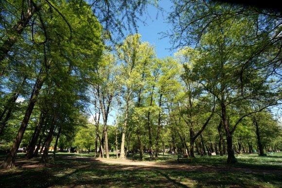 Varese Gölü kıyısındaki park. Biz gezerken birçok insan piknik yapıyor veya güneşleniyordu.