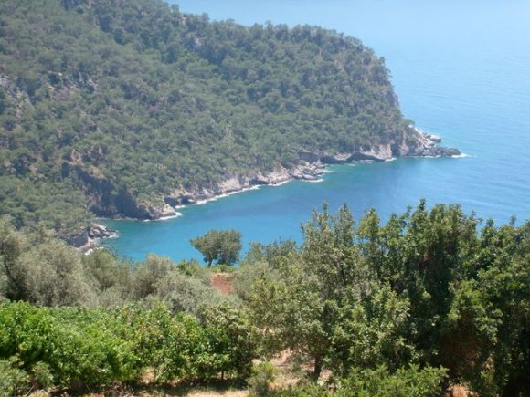 Kabak Koyu.