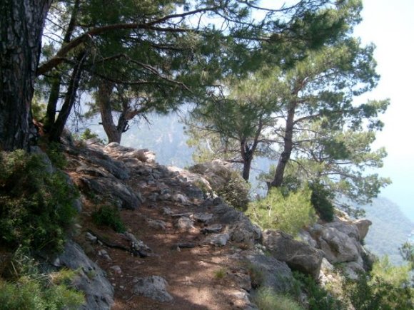 Kabak Koyu - Alınca parkurundan patika.