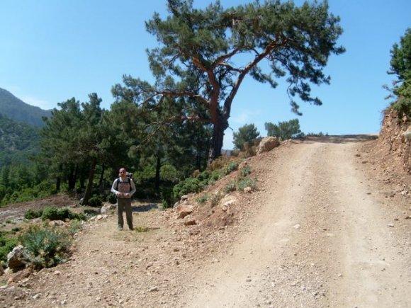 Yol kaybı.