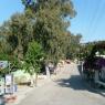 Patara'nın içi.