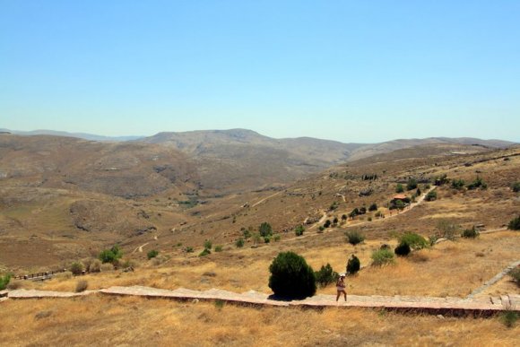 Midilli Taşlaşmış Orman Parkı