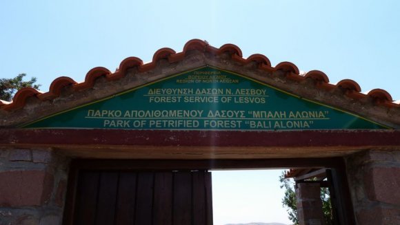 Taşlaşmış orman giriş kapısı
