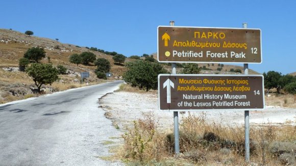 Taşlaşmış ormana giden yol tabelası.