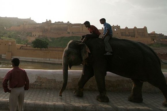 Jaipur, Amber Kale-Sarayı'na fillerle çıkılabiliyor.