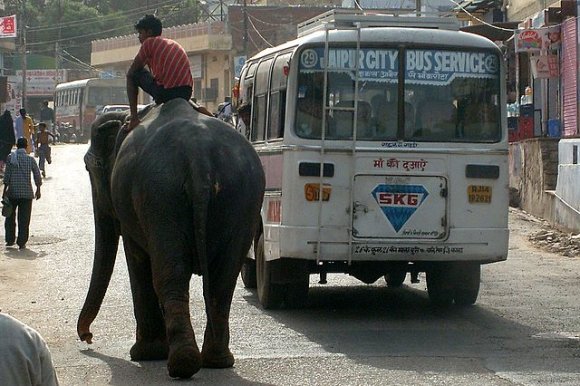 Jaipur, Trafikte fil.