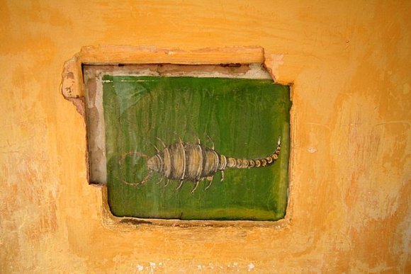 Jaipur, Jantar Mantar Gözlemevi'nde akrep burcuna ait resim.