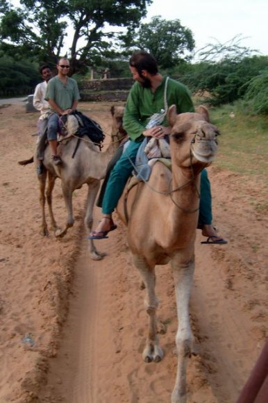 Pushkar'da deve safari.