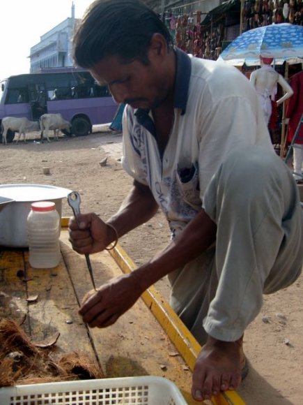 Pushkar'da hindistan cevizi satıcısı.