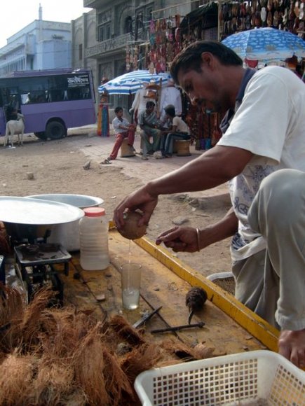 Pushkar'da hindistan cevizi satıcısı.