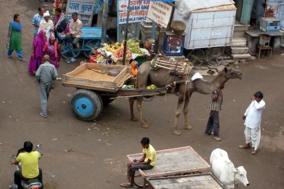 Pushkar sokakları.