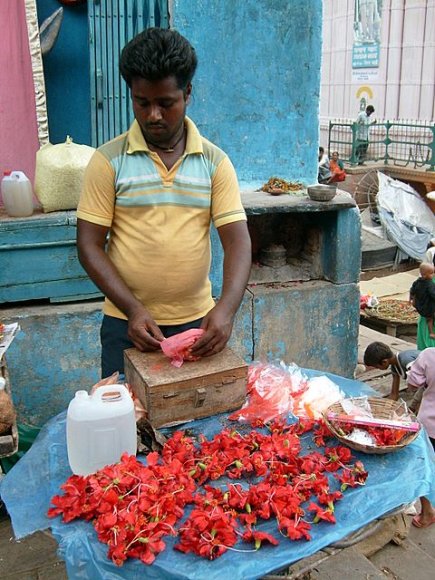 Varanasi - Çiçekçi.