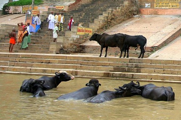 Varanasi - Ganj Nehri'ndeki mandalar