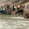 Varanasi - Ganj Nehri'nde Hindular ve mandalar